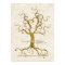 Swirl Tree Roots Antiqued Thumb Print Reception