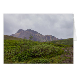 Swirled Beauty In Denali