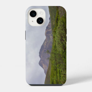Swirled Beauty In Denali iPhone 14 Case