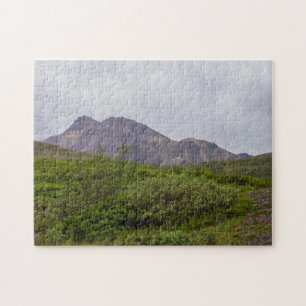 Swirled Beauty In Denali Jigsaw Puzzle