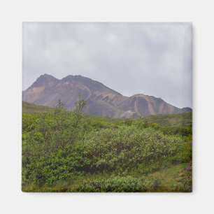 Swirled Beauty In Denali Magnet