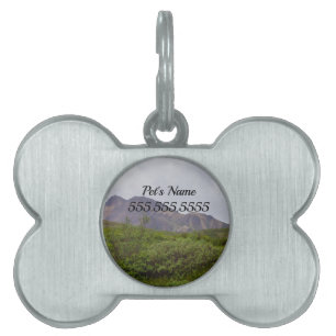 Swirled Beauty In Denali Pet Name Tag