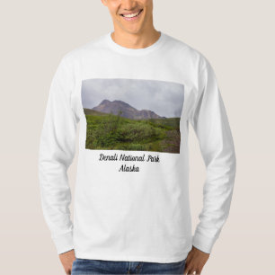 Swirled Beauty In Denali T-Shirt