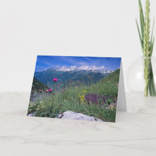 Swiss Alps card