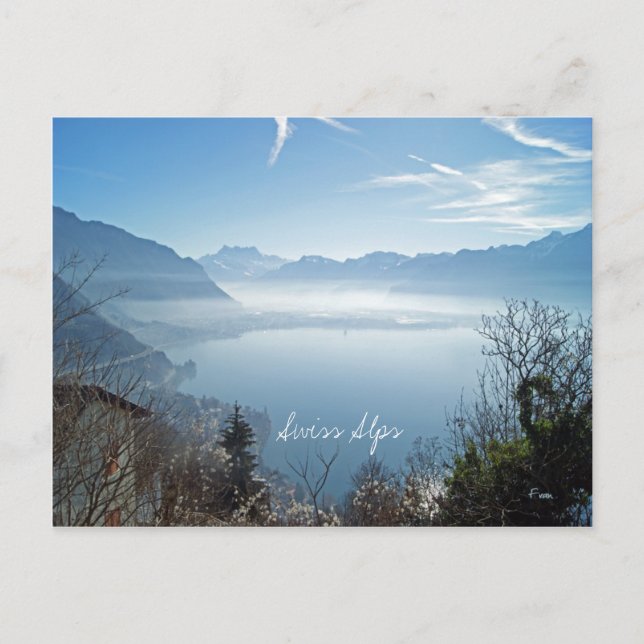 Swiss Alps Postcard (Front)