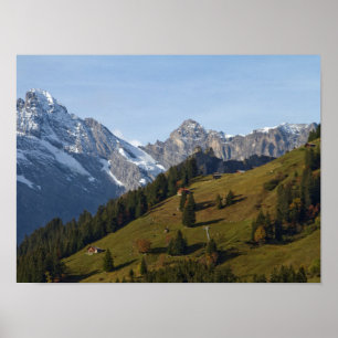 Swiss Alps Poster