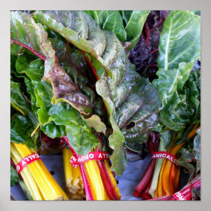 Swiss Chard Poster