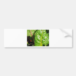 Swiss Chards Bumper Sticker