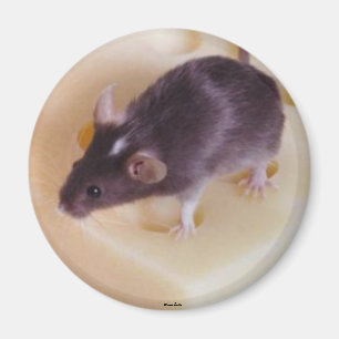 Swiss Cheese Mouse Magnet