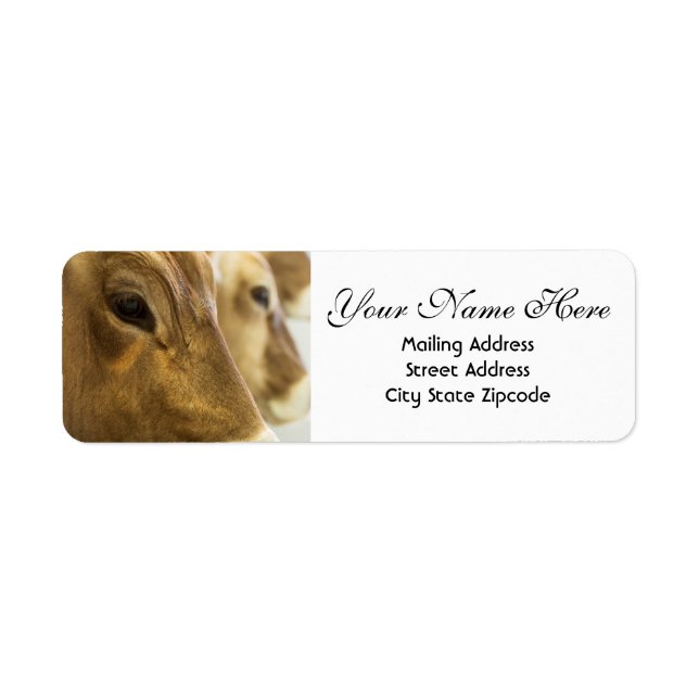 Swiss Dairy Cows Return Address Label (Front)