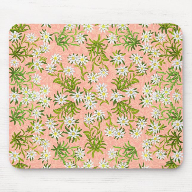 Swiss Edelweiss Alpine Flowers Mousepad (Front)