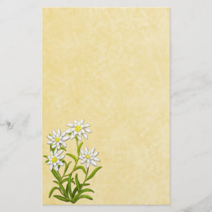 Swiss Edelweiss Flowers Stationery