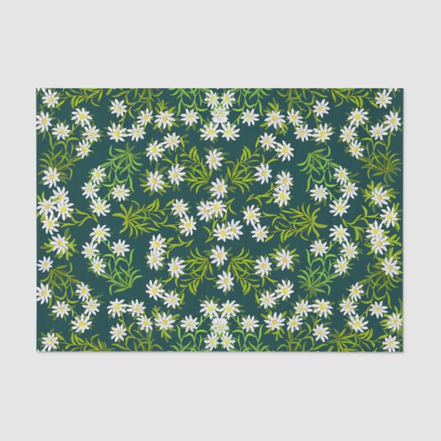 Swiss Edelweiss Mountain Flowers Tissue Paper (Front)