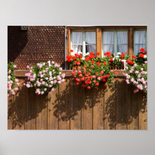 Swiss flower box poster
