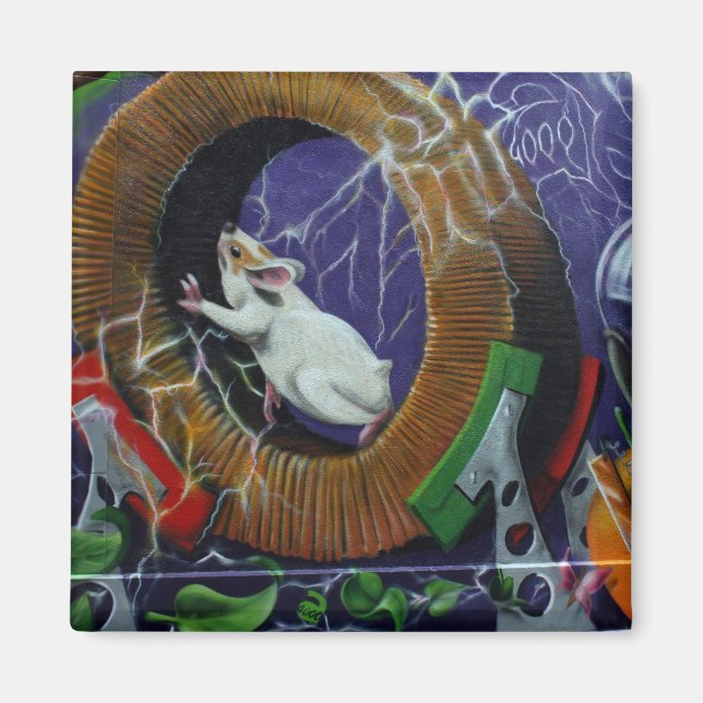 Swiss Graffiti Magnet (Front)