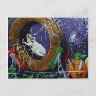 Swiss Graffiti Postcard