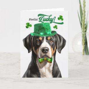 Swiss Mountain Dog Feelin' Lucky St Patrick's Day Holiday Card