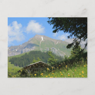 Swiss Mountains Postcard