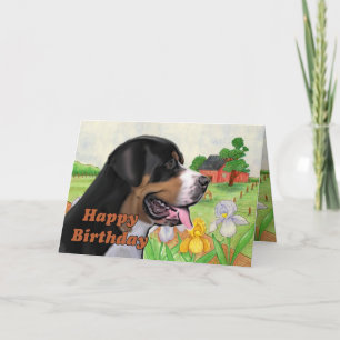 swissie  birthday card
