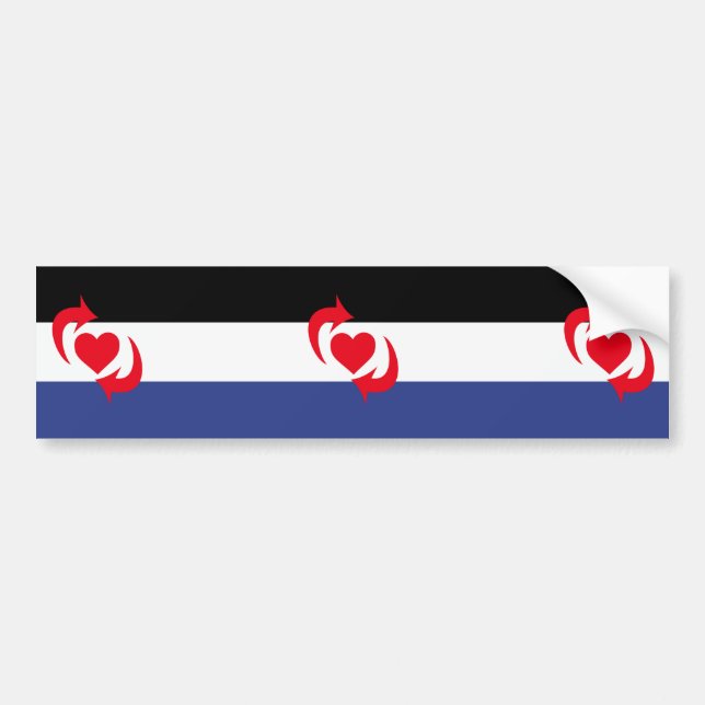 Switch Pride Flag Bumper Sticker (Front)