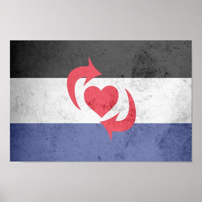 SWITCH PRIDE FLAG POSTER (Front)