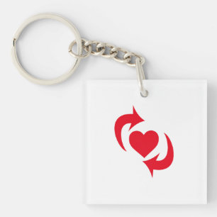 Switch Pride Key Ring