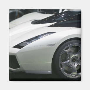 SWITZERLAND, GENEVA: 75th Annual Geneva Auto 11 Magnet