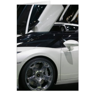 SWITZERLAND, GENEVA: 75th Annual Geneva Auto 9