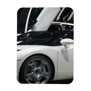 SWITZERLAND, GENEVA: 75th Annual Geneva Auto 9 Magnet