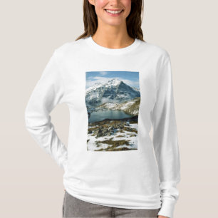 Switzerland, Grindelwald, Bernese Alps, View T-Shirt
