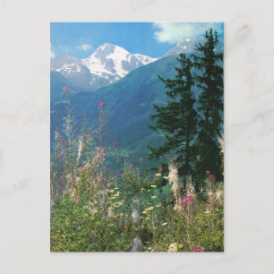 Switzerland, Jungfrau region in springtime Postcard