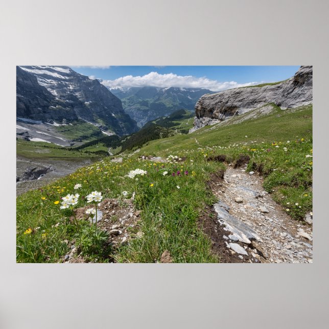 Switzerland - Lauterbrunnen Valley - Poster (Front)