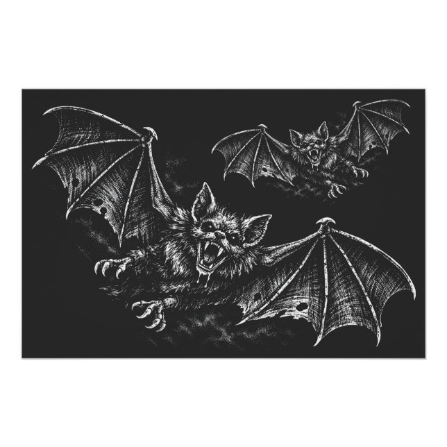 Swooping Bat - by BurnsInHell Poster (Front)