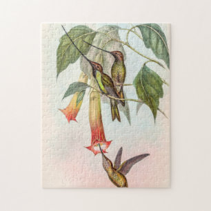 Sword-billed Hummingbird by John Gould Jigsaw Puzzle