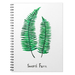 sword fern watercolor notebook