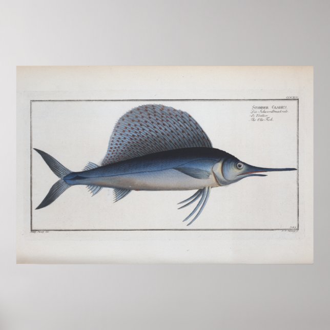 Swordfish Drawing Retro Vintage Poster (Front)