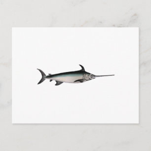 Swordfish Logo Postcard
