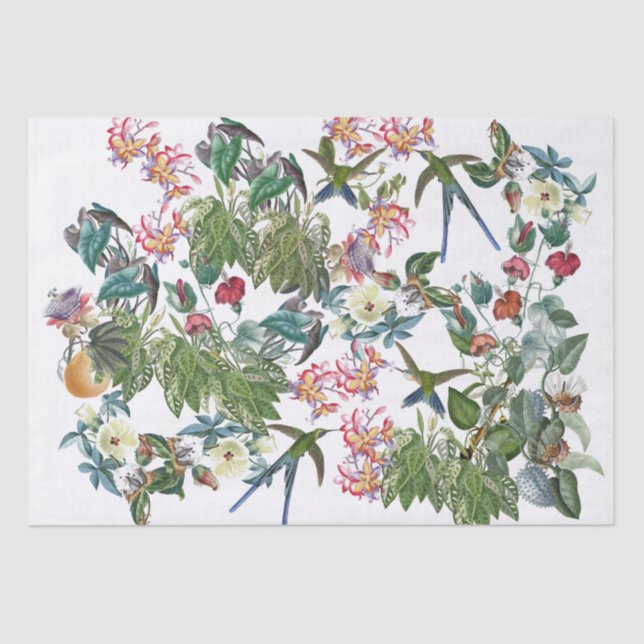 Swordtail Hummingbird Birds Flowers Tissue Paper (Front)