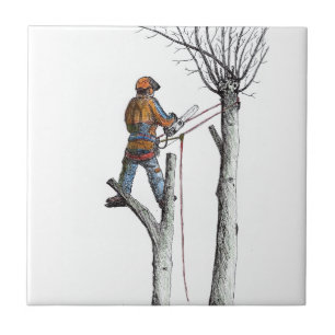 Sycamore and 020t ceramic tile