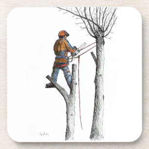 Sycamore and 020t coaster