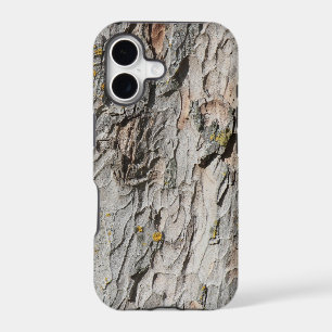 Sycamore Bark