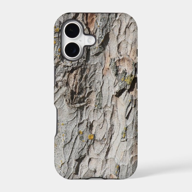 Sycamore Bark (Back)