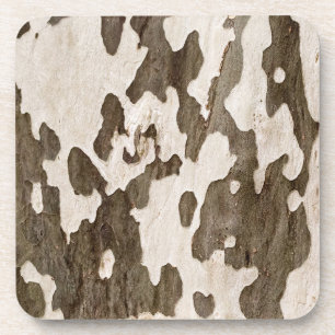 Sycamore Bark Coaster