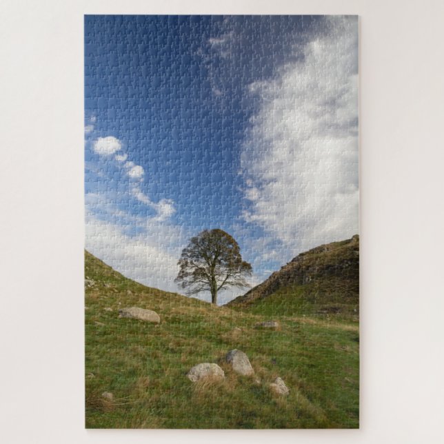 Sycamore Gap Jigsaw Puzzle (Vertical)