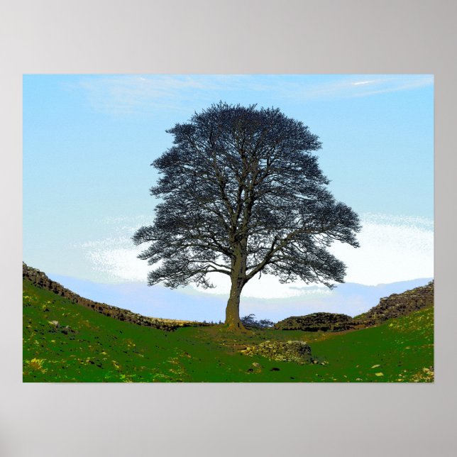 Sycamore Gap Poster/Print Poster (Front)