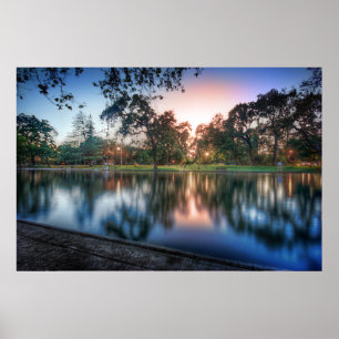 Sycamore Pool Poster