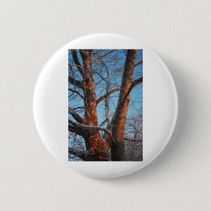 Sycamore Sunrise 6 Cm Round Badge