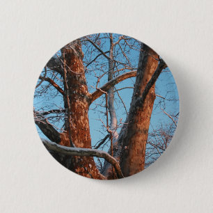 Sycamore Sunrise 6 Cm Round Badge