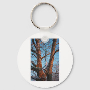 Sycamore Sunrise Key Ring
