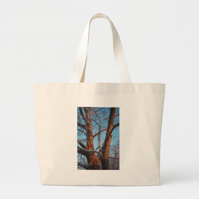 Sycamore Sunrise Large Tote Bag (Front)